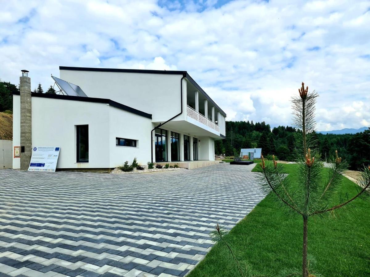 Pensiunea Ddc Colibiţa Εξωτερικό φωτογραφία